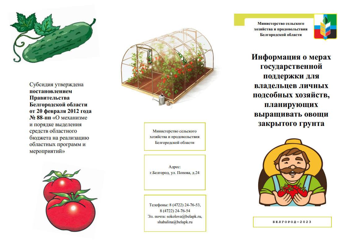 Важная информация о мерах государственной поддержки для владельцев личных подсобных хозяйств, планирующих выращивать овощи закрытого грунта..